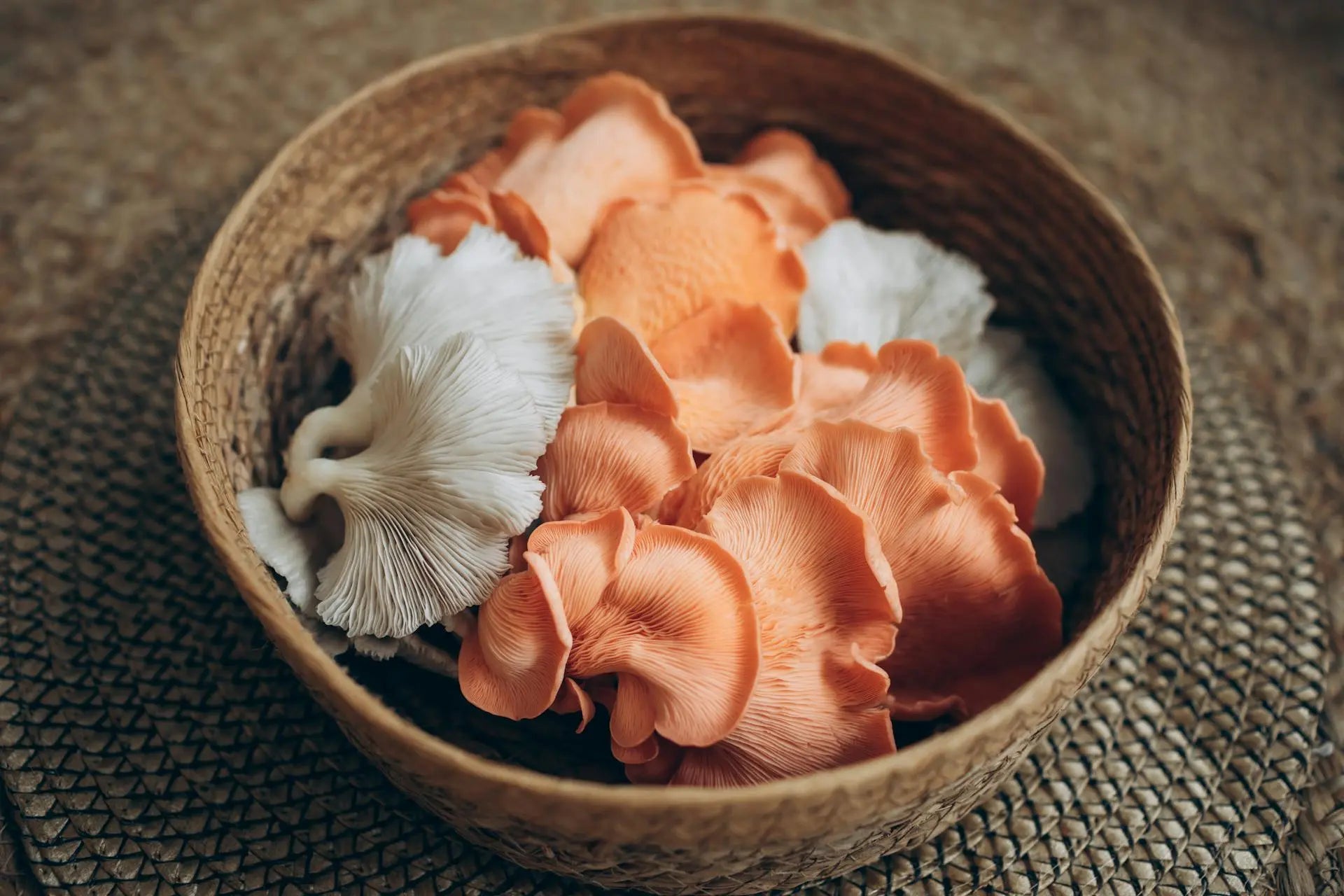 Storing-Oyster-Mushrooms-In-The-Fridge | Fridge.com