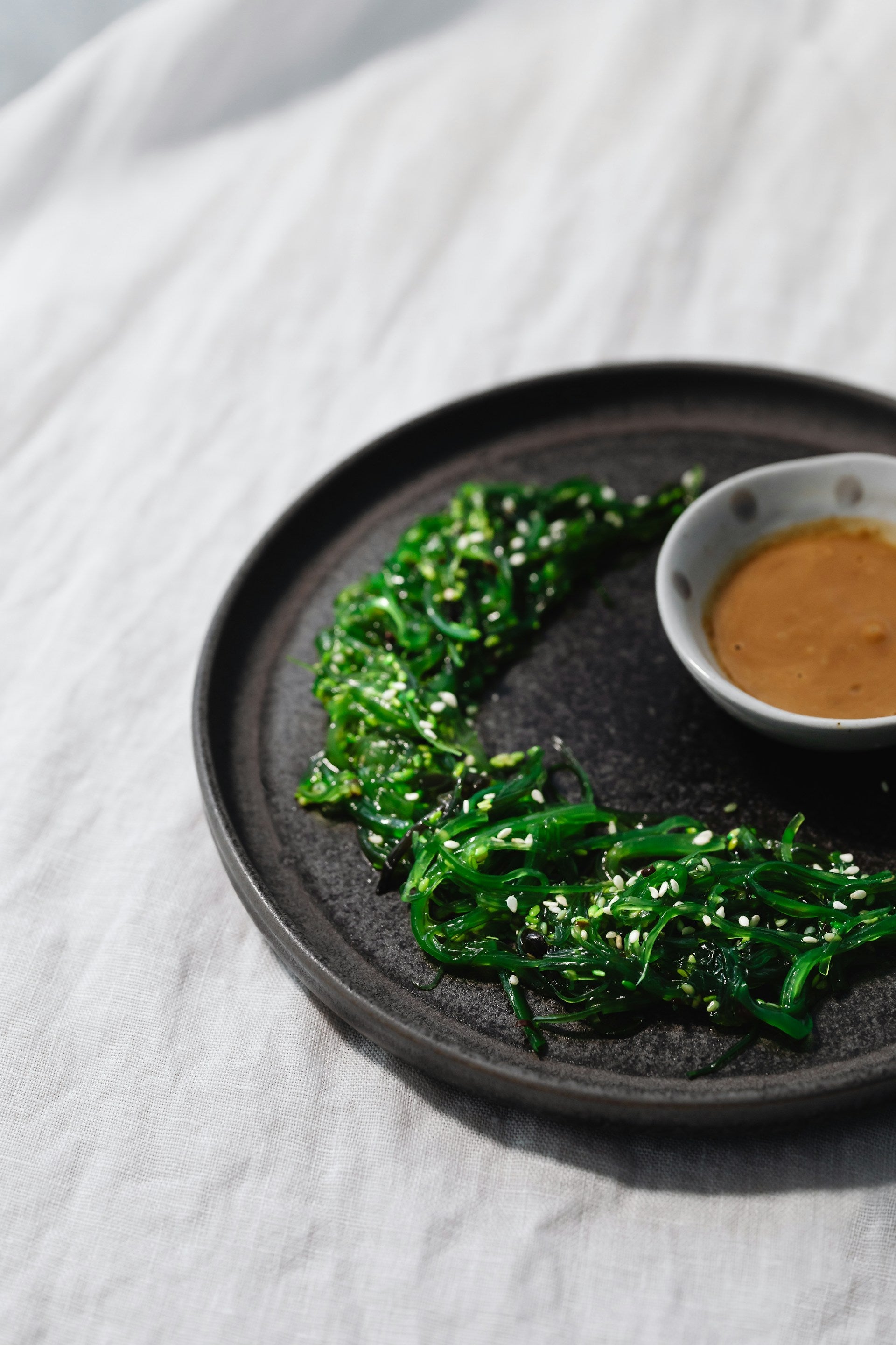 Storing Pickled Seaweed In The Freezer Safely