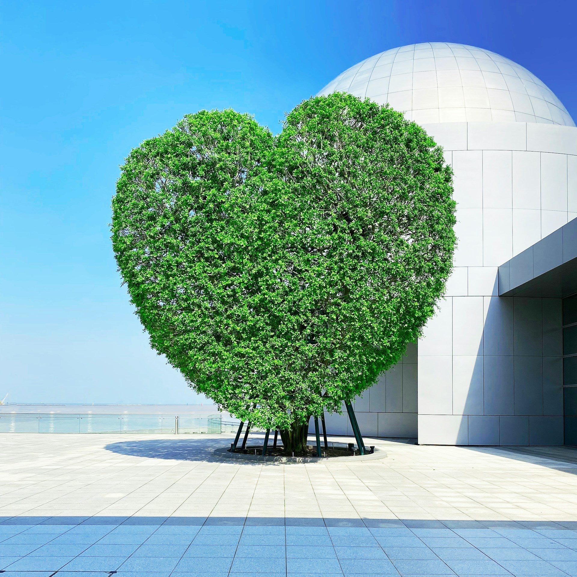 Top Rated Energy Efficient Appliances