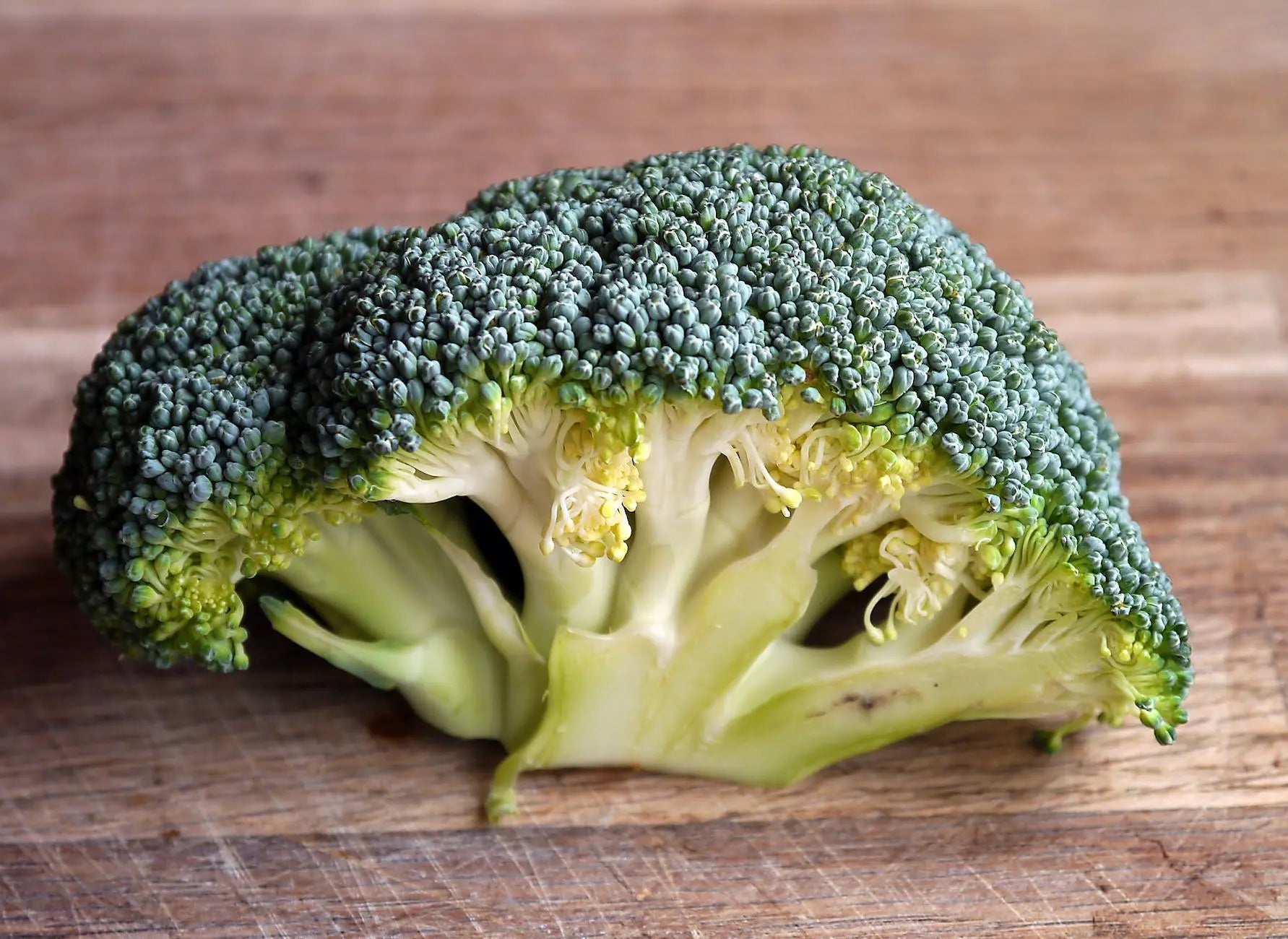 Unlocking-the-Mystery-How-Long-Can-You-Store-Broccoli-in-the-Fridge | Fridge.com