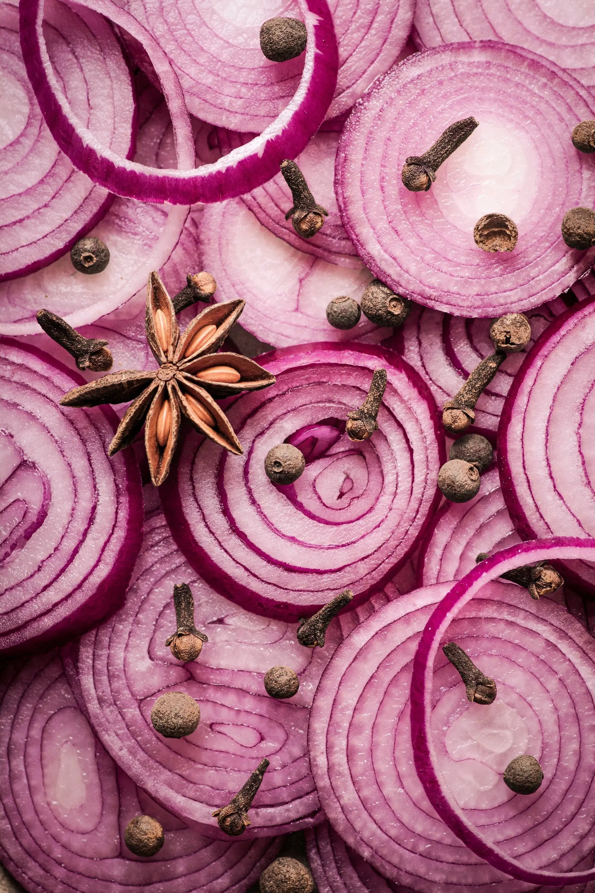 Why-Pickled-Red-Onions-Belong-In-Your-Fridge | Fridge.com