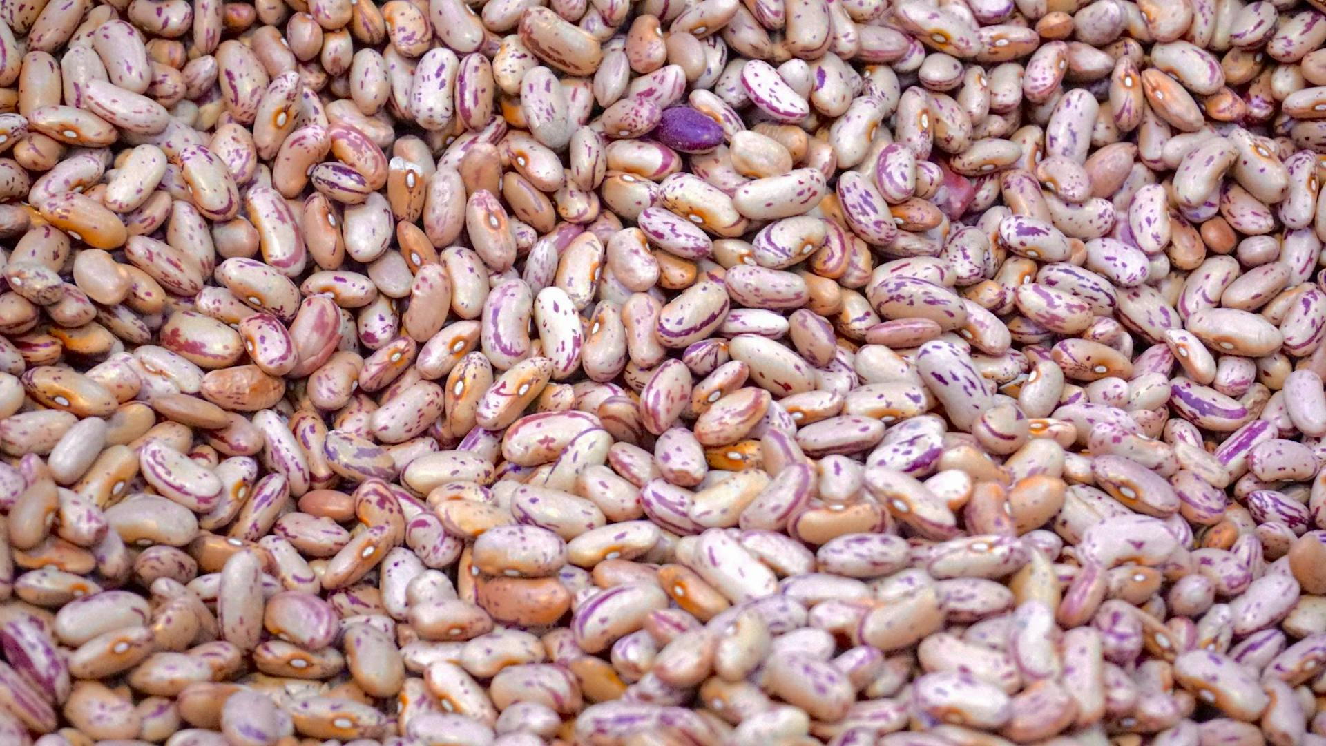 Why You Should Keep Lavra Bean Seeds In The Fridge