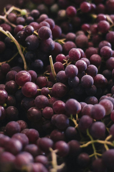 Do You Refrigerate Grapes?