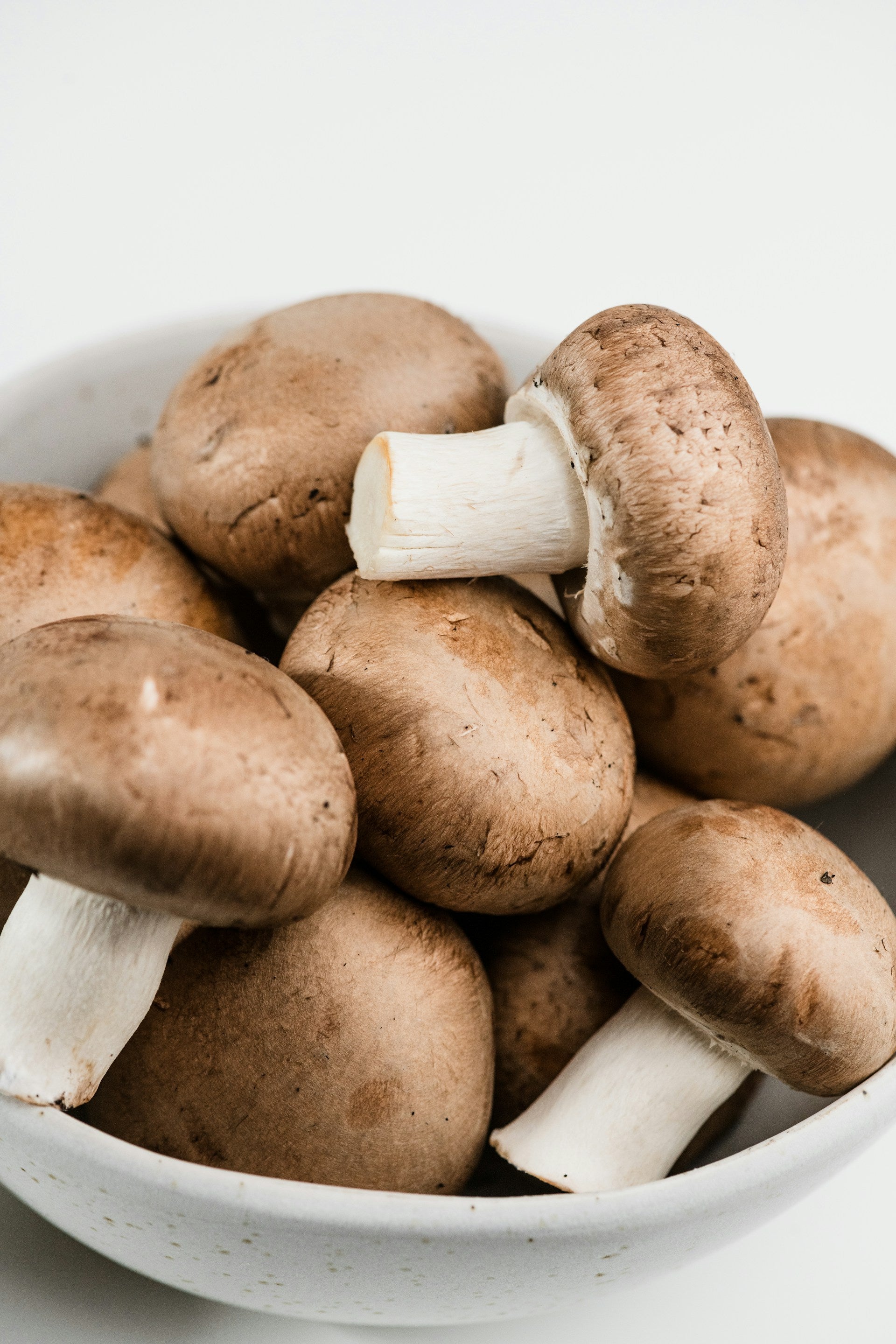 How Long Do Baby Bella Mushrooms Last In The Fridge? | Fridge.com