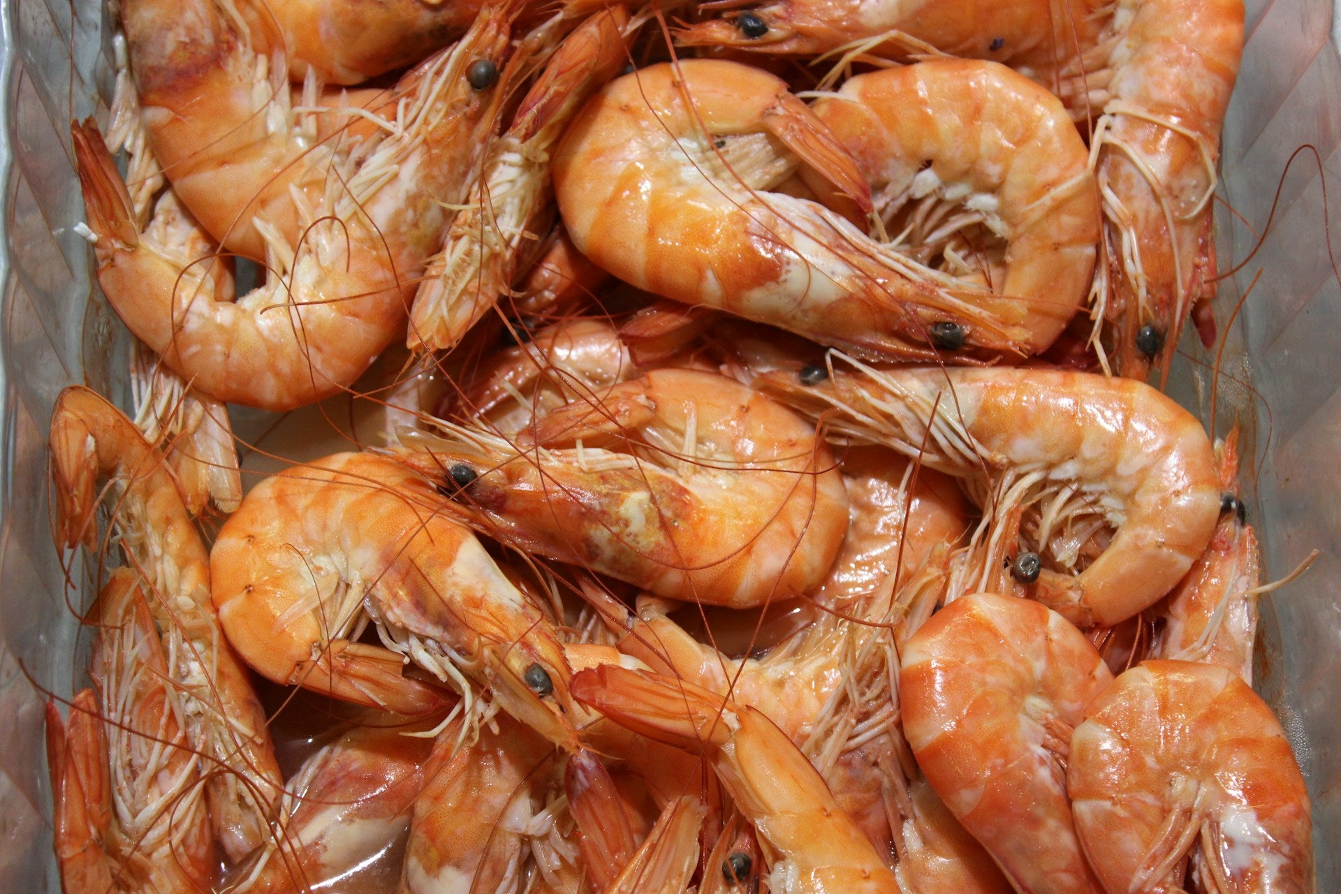 How Long Can Shrimp Be Out Of The Fridge? | Fridge.com