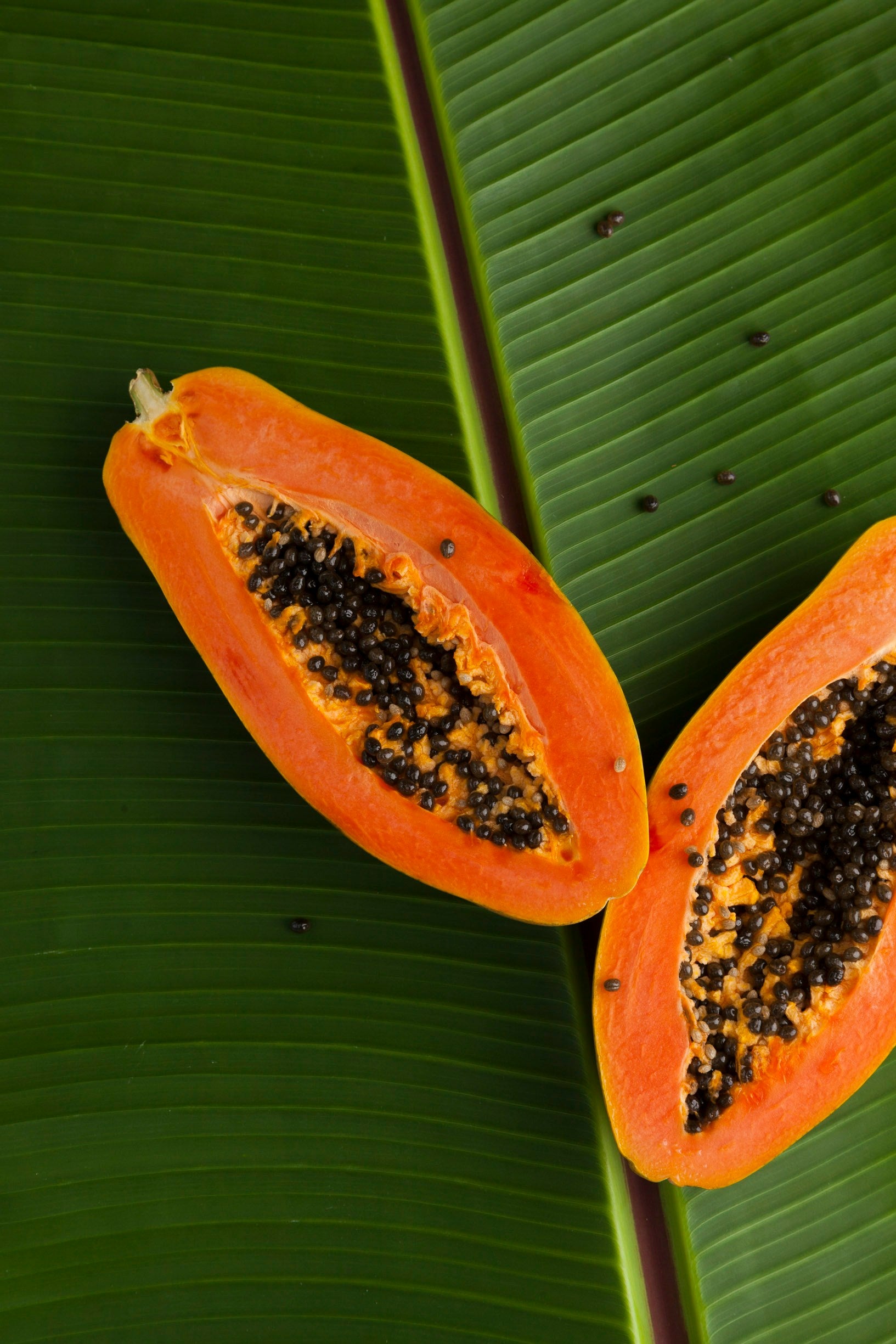 Best Fridge For National Papaya Month | Fridge.com