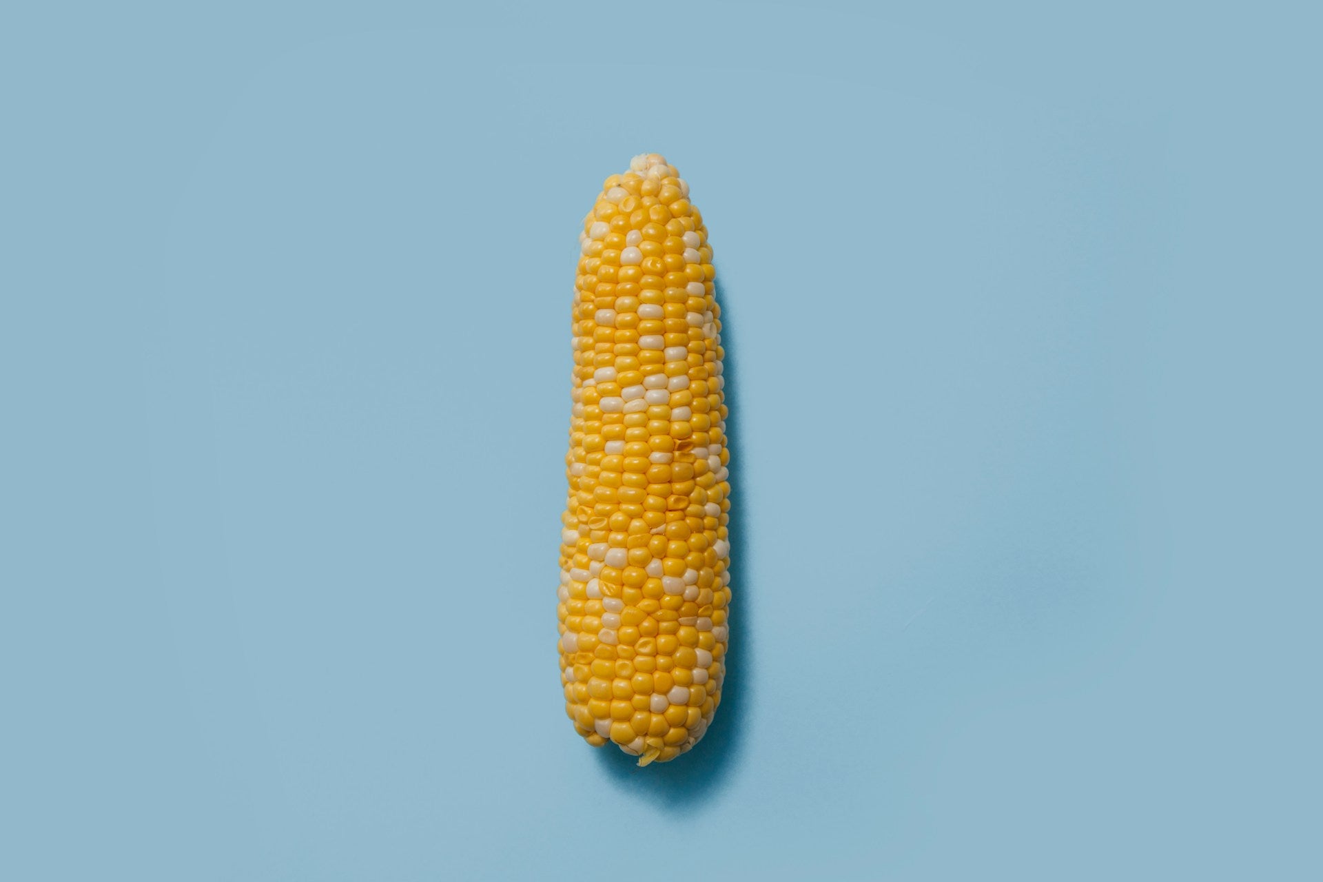 How Long Can You Keep Corn In The Fridge? | Fridge.com