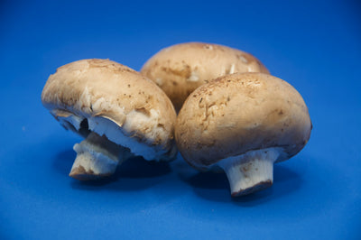 How Long Do Portobello Mushrooms Last In The Fridge? | Fridge.com