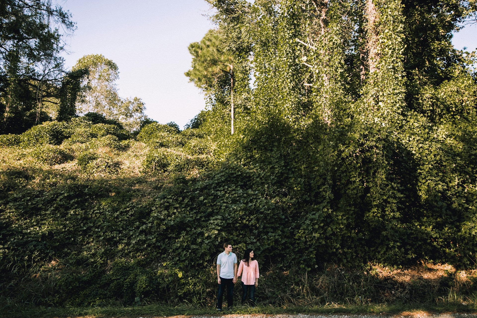 How To Keep Kudzu Vine Seeds In The Fridge | Fridge.com