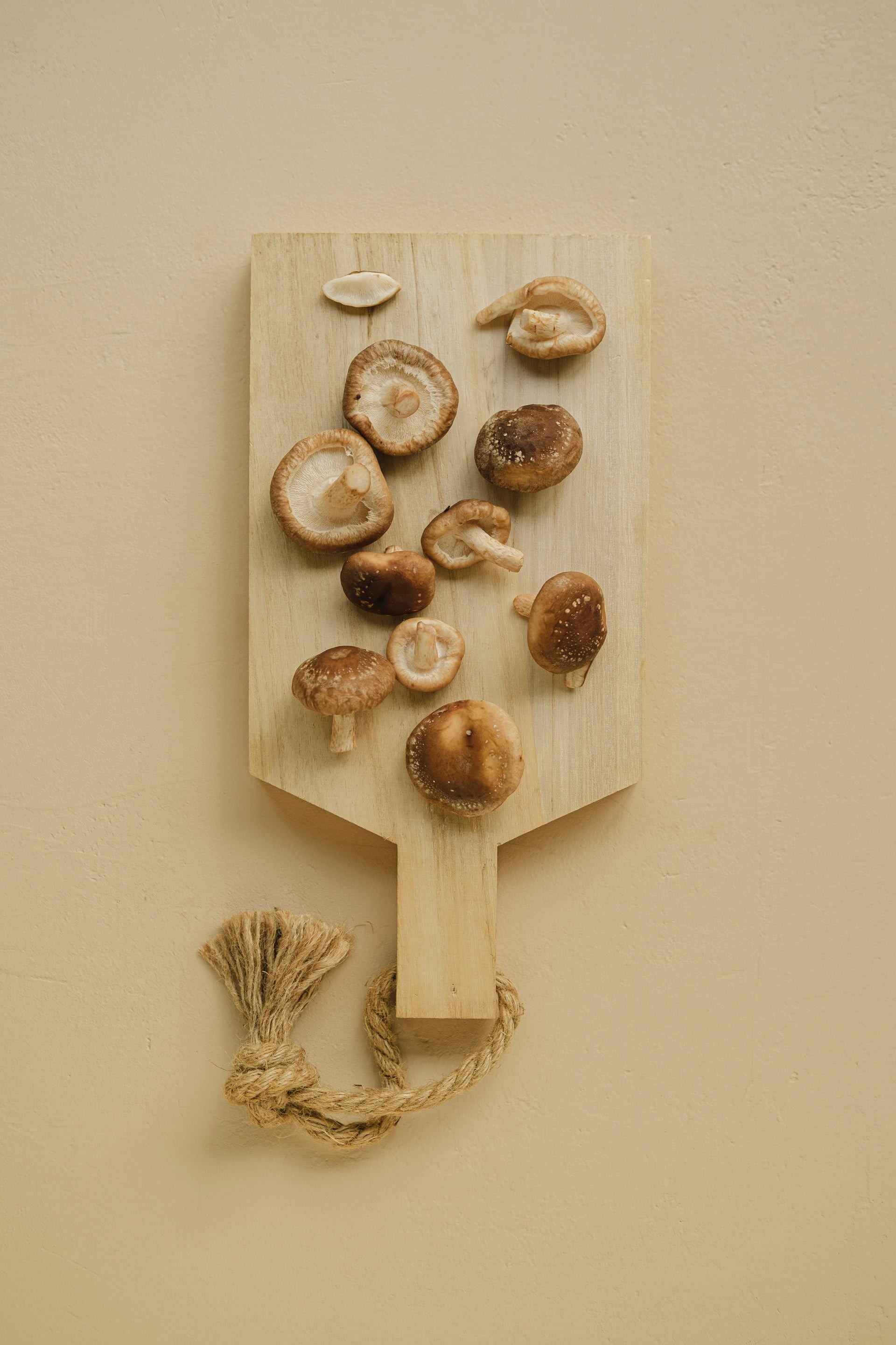 How Long Do Shiitake Mushrooms Last In The Fridge? | Fridge.com