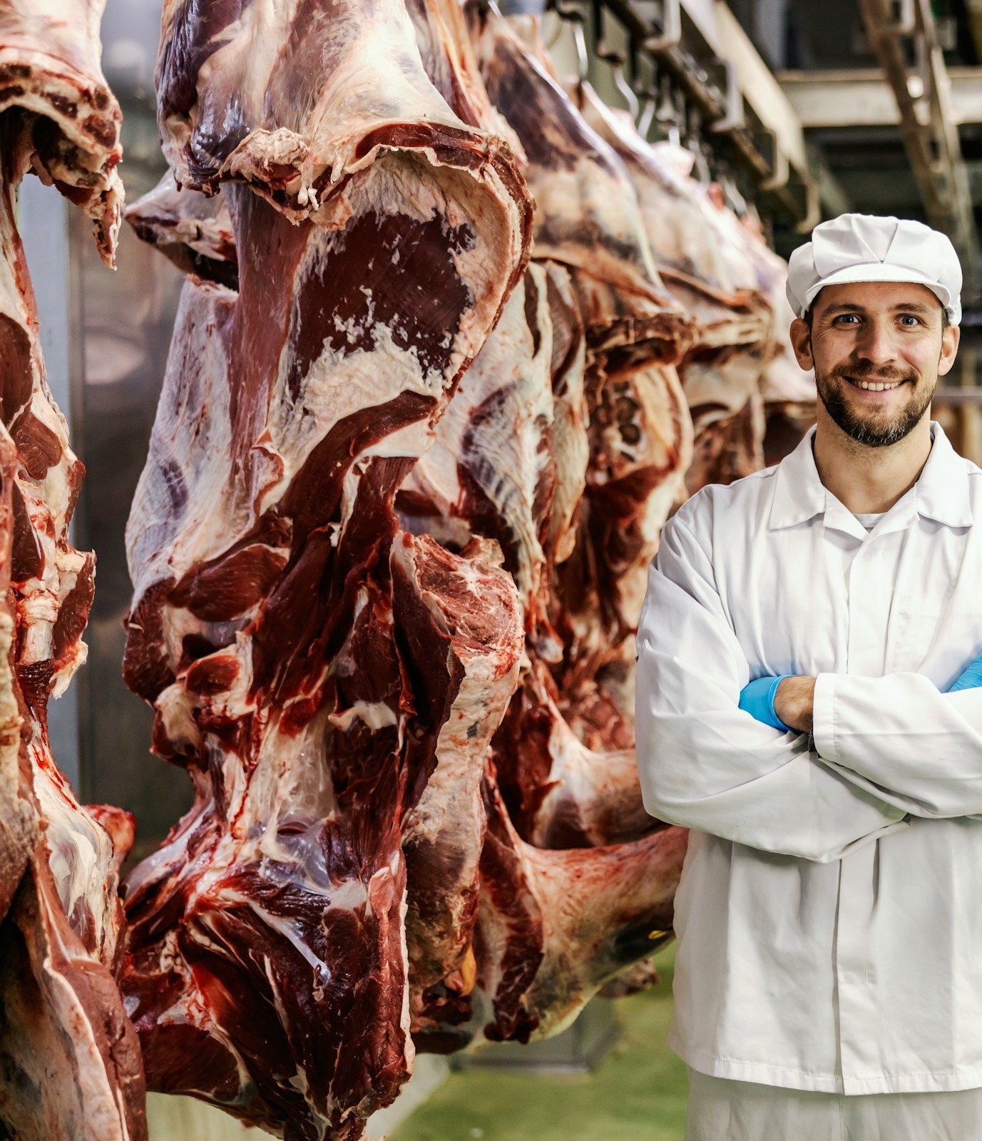 How Big Of A Chest Freezer Do You Need For Half A Cow? | Fridge.com