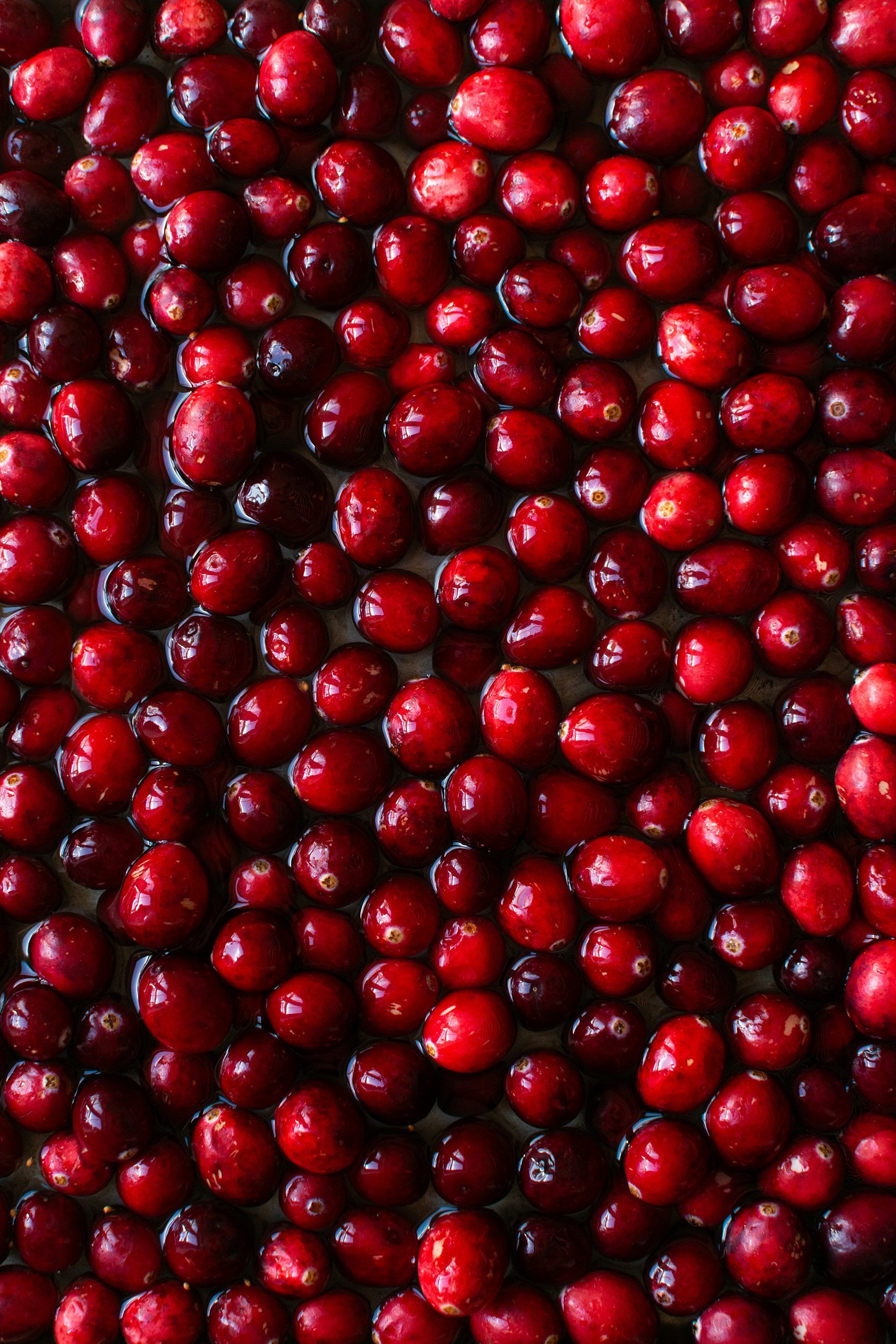 Best Fridge For National Cranberry Relish Day | Fridge.com