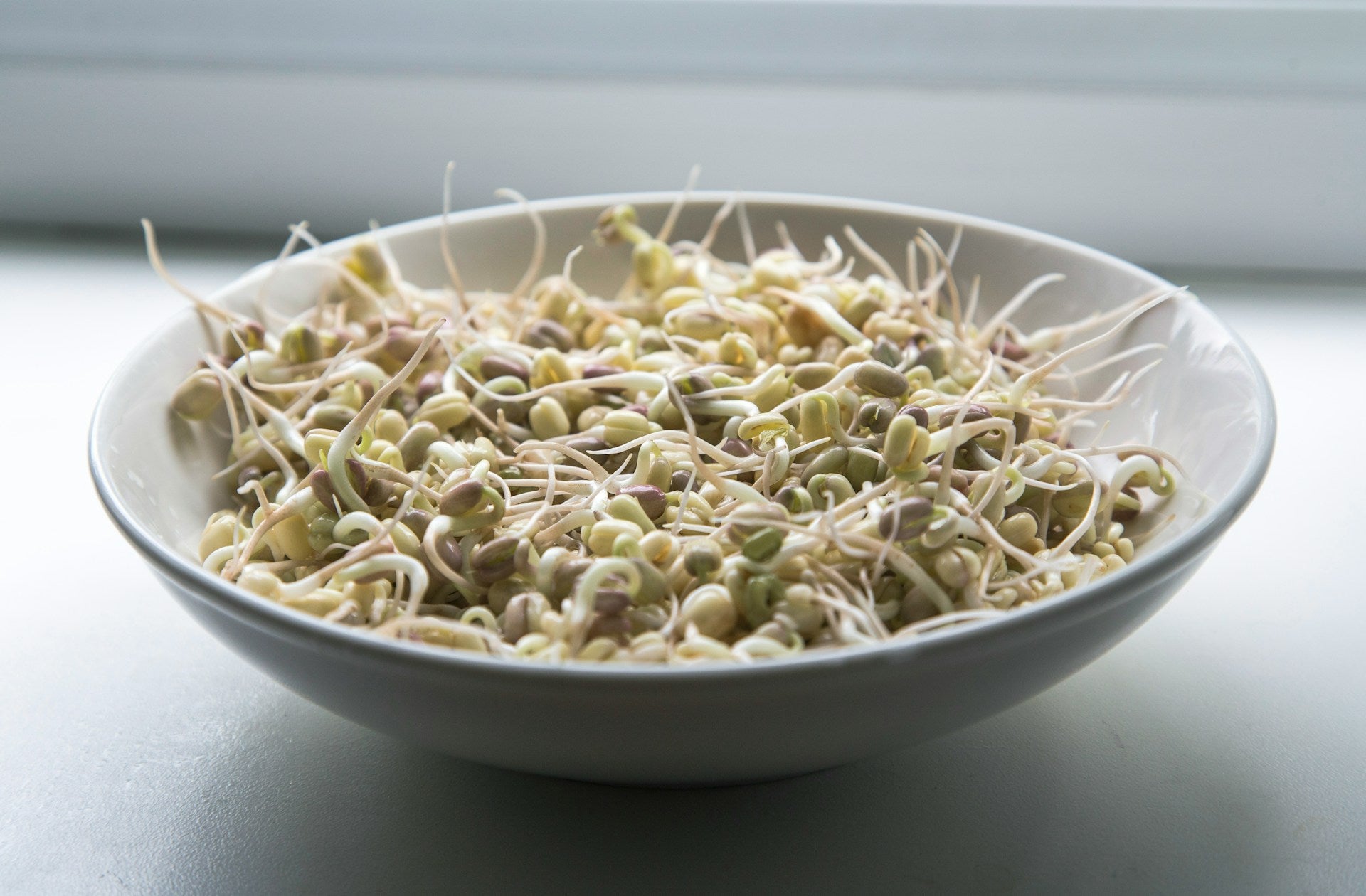 How Long Do Bean Sprouts Last In The Fridge? | Fridge.com