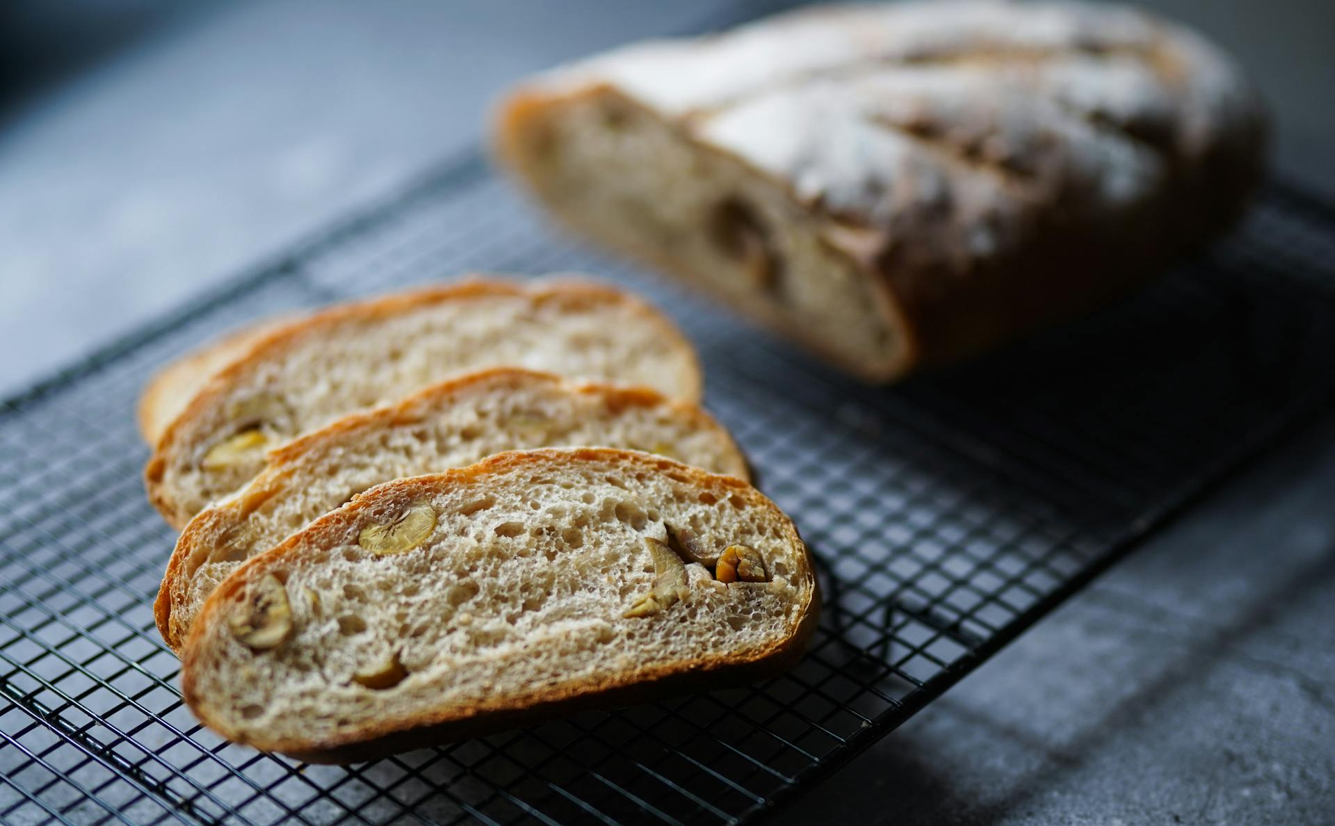 Best Fridge For Sourdough September | Fridge.com