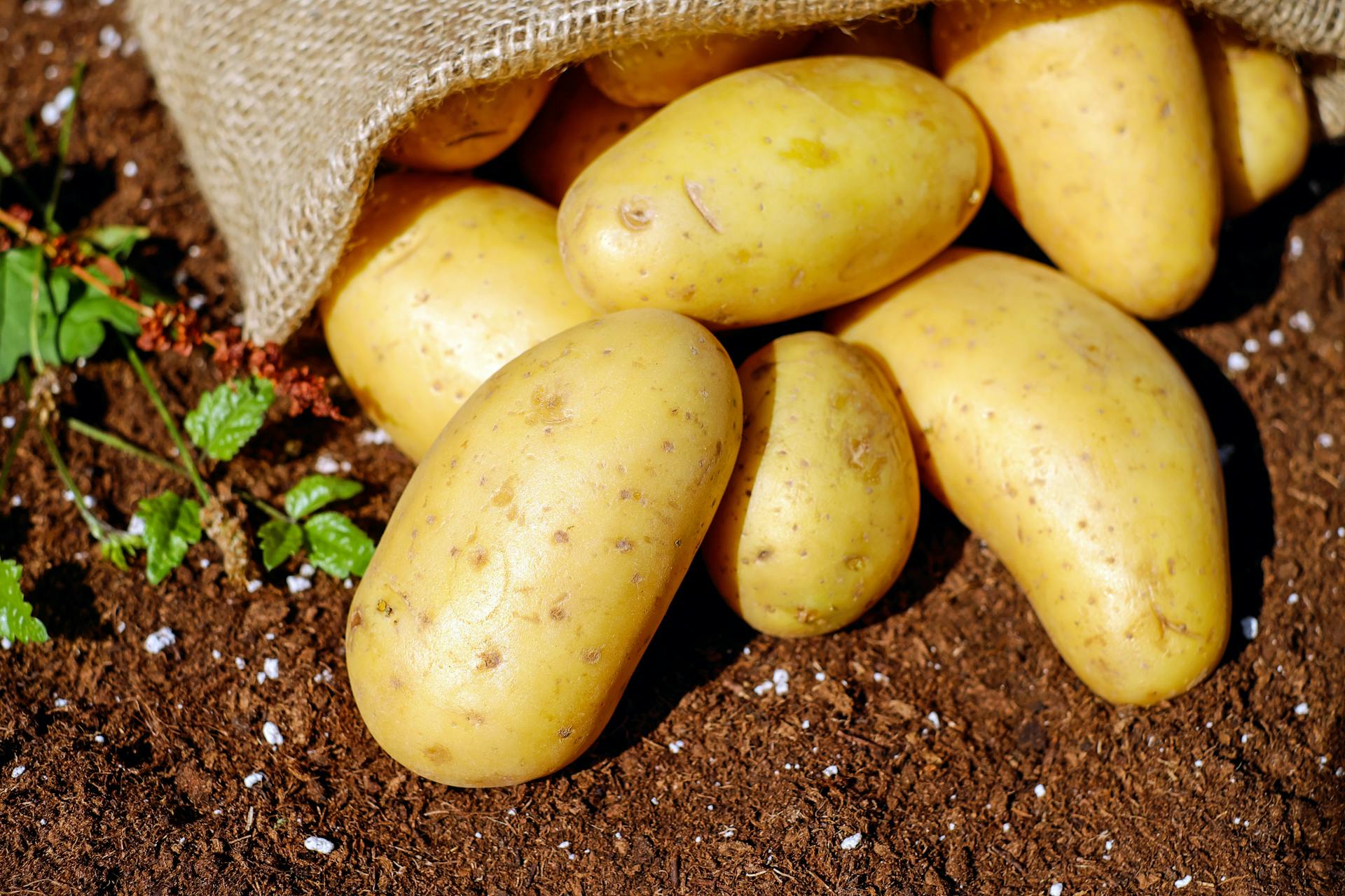 How-Long-Does-A-Potato-Last-In-The-Fridge | Fridge.com