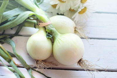 How Long Does An Onion Last In The Fridge? | Fridge.com