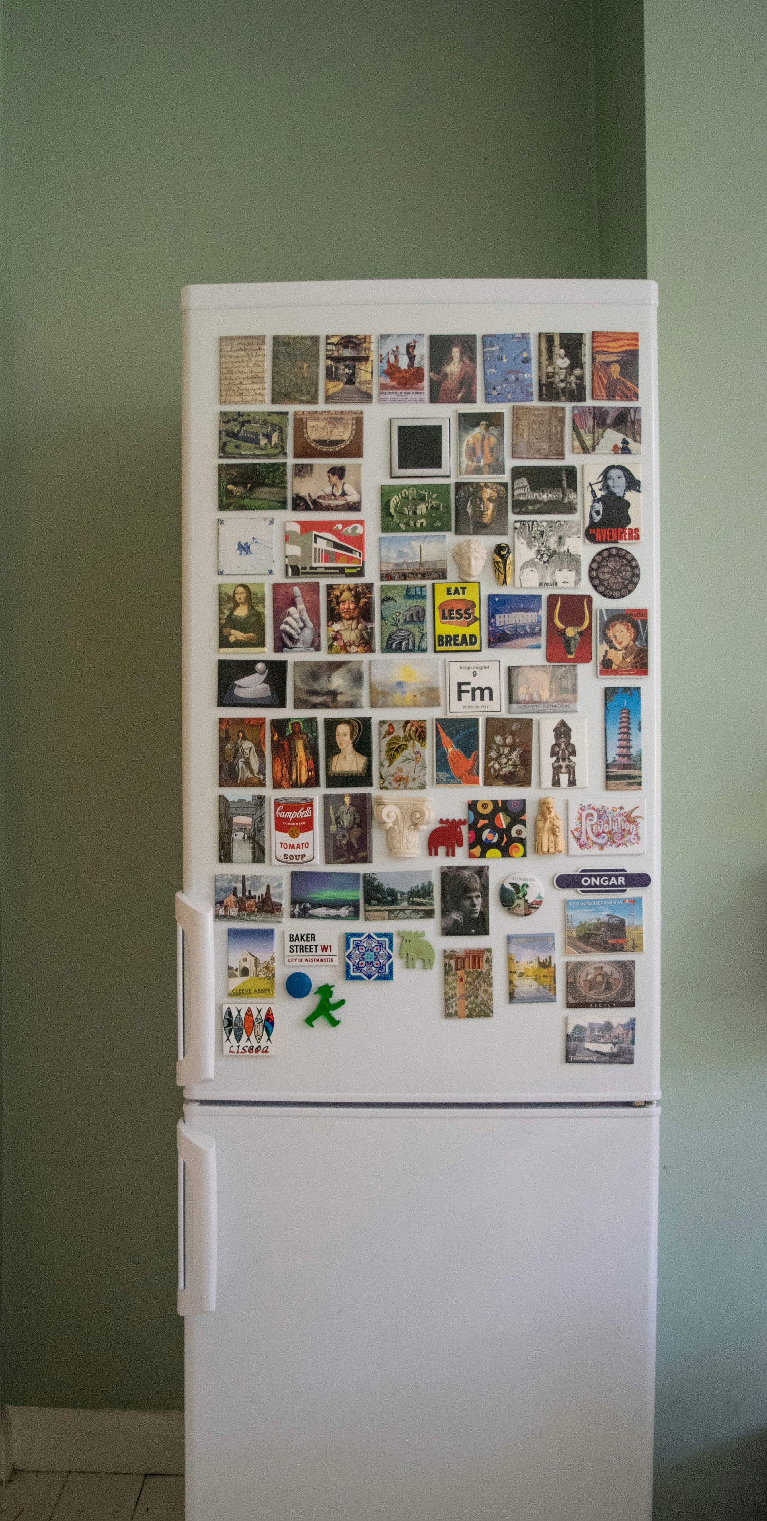 Discover The Perfect Fit Bottom Freezer Refrigerator Sale For Your Home | Fridge.com