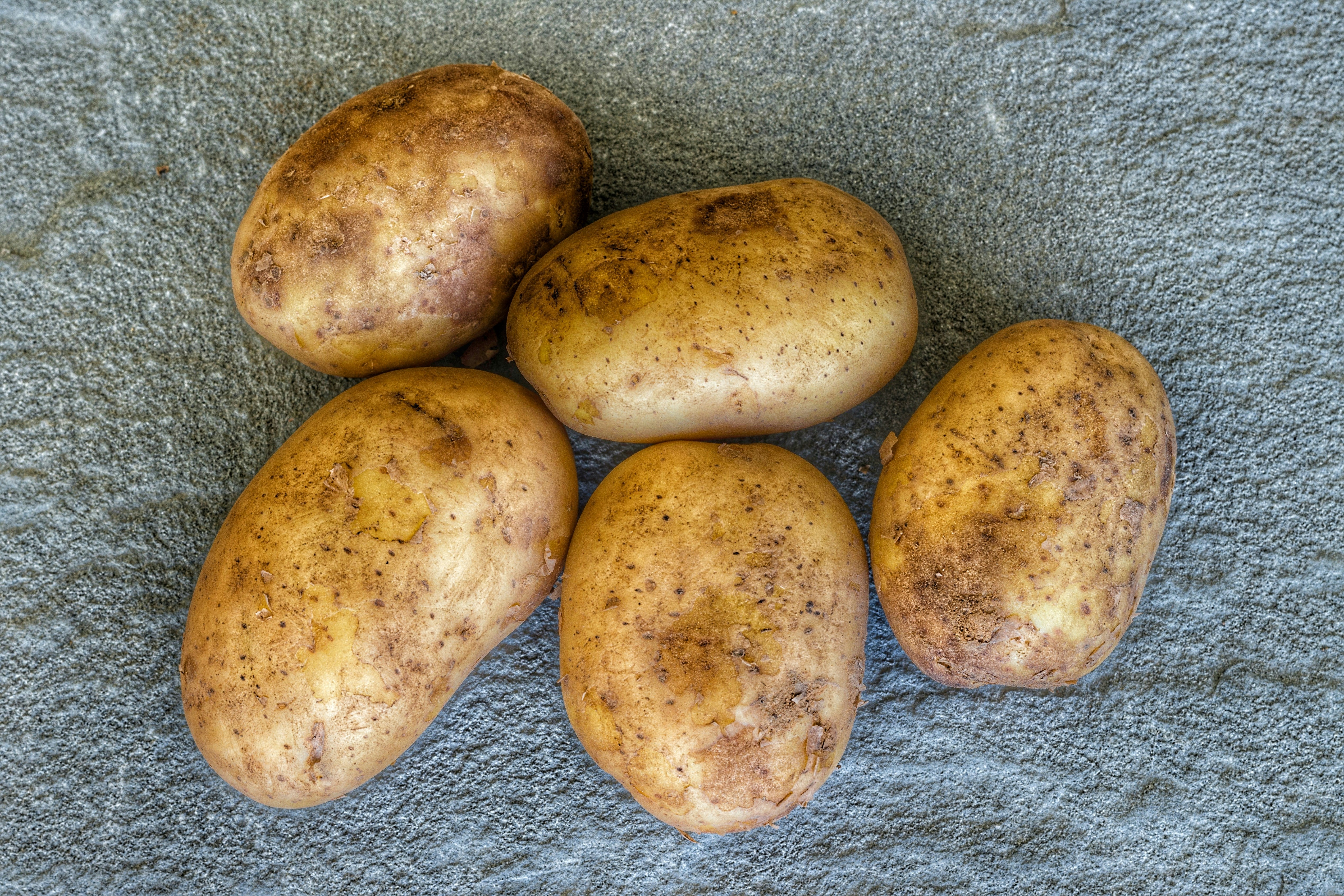 How Long Does A Cooked Potato Last In The Fridge? | Fridge.com