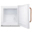 1.4 Cubic Feet Upright Freezer with Adjustable Temperature Controls | Fridge.com