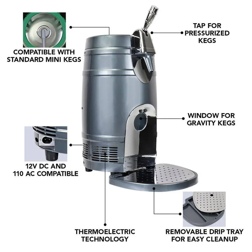 Beer fashion keg dispenser for