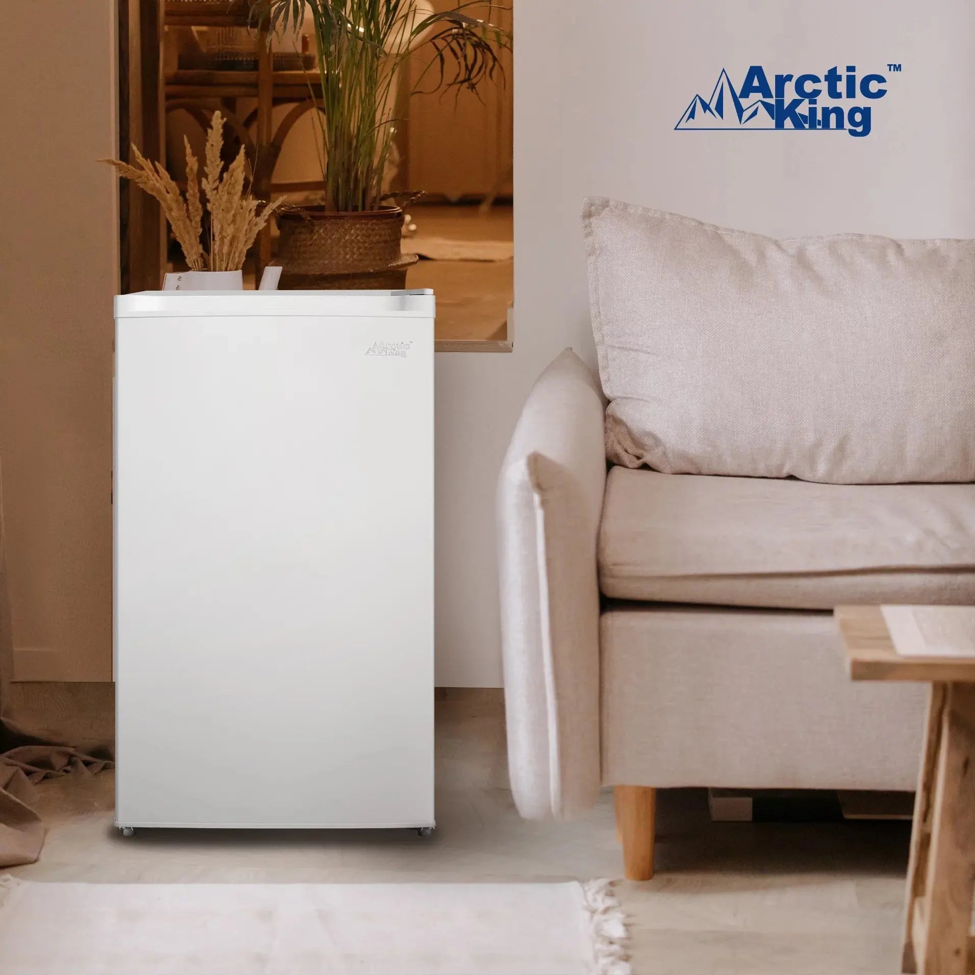 Arctic King 3.0 Cu ft Upright Freezer Stainless Steel Door, E-Star | Fridge.com