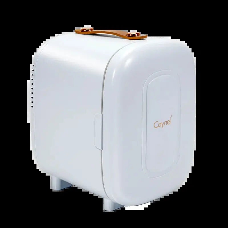 Caynel 5L Portable Retro Mini Fridge 6-Can Mini Refrigerator | Fridge.com