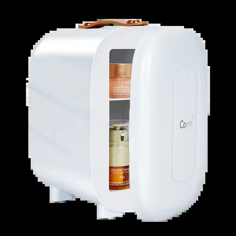 Caynel 5L Portable Retro Mini Fridge 6-Can Mini Refrigerator | Fridge.com