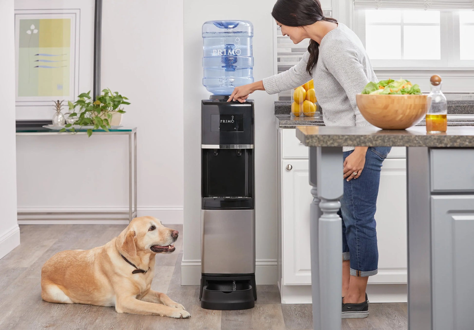 Primo® Water Pet Station Water Dispenser Top Loading, Hot/Cold Temperature, Black and Stainless Steel | Fridge.com