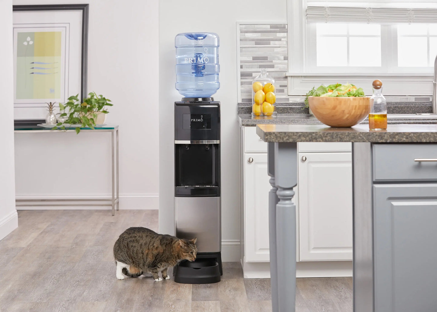 Primo® Water Pet Station Water Dispenser Top Loading, Hot/Cold Temperature, Black and Stainless Steel | Fridge.com