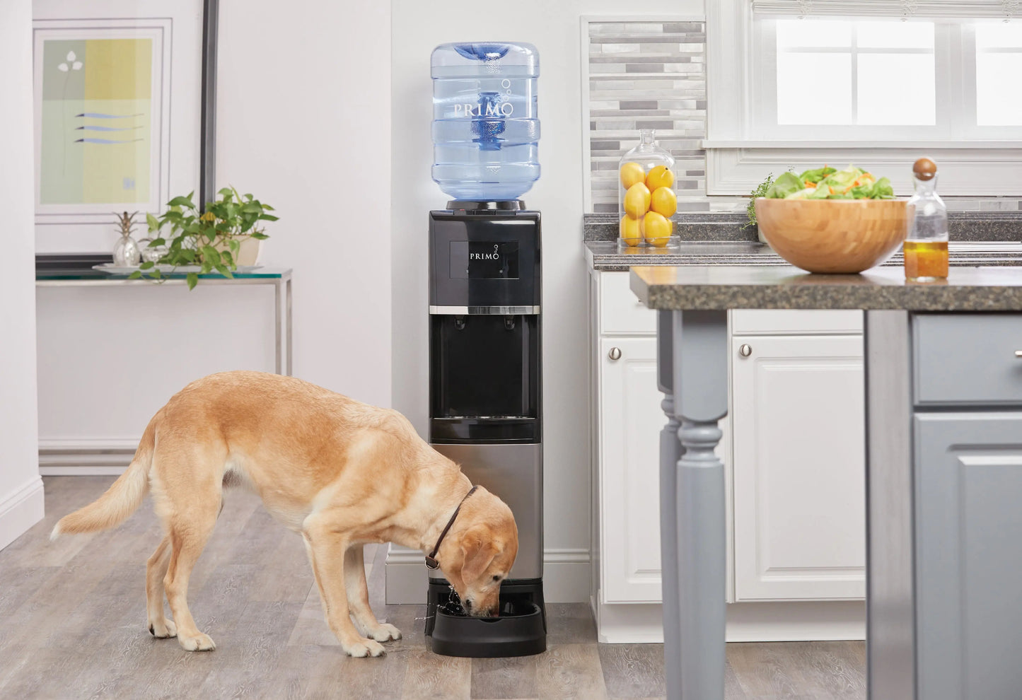 Primo® Water Pet Station Water Dispenser Top Loading, Hot/Cold Temperature, Black and Stainless Steel | Fridge.com