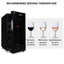 Koolatron 10 Bottle Wine Cooler, Thermoelectric Freestanding Wine Fridge | Fridge.com