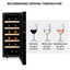 Koolatron 12 Bottle Freestanding Wine Refrigerator | Fridge.com