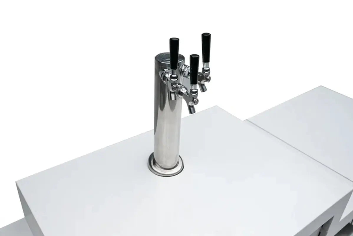 Mont Alpi Stainless Steel Outdoor Triple Beer Tap Kegerator Refrigerator with Thermostat | Fridge.com