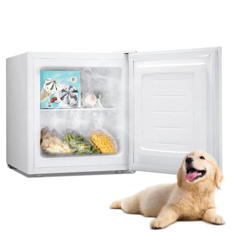 Portable 1.1 Cubic Feet Frost-Free Upright Freezer with Adjustable Temperature Controls | Fridge.com