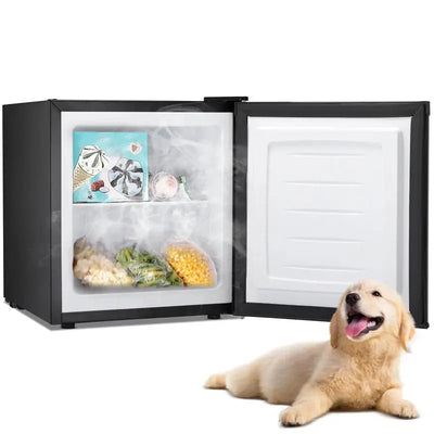 Portable 1.1 Cubic Feet Frost-Free Upright Freezer with Adjustable Temperature Controls | Fridge.com