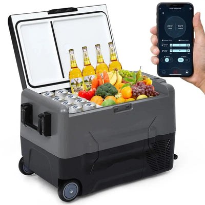 Portable 1.6 Cubic Feet Freezer with Adjustable Temperature Controls and LED Light | Fridge.com