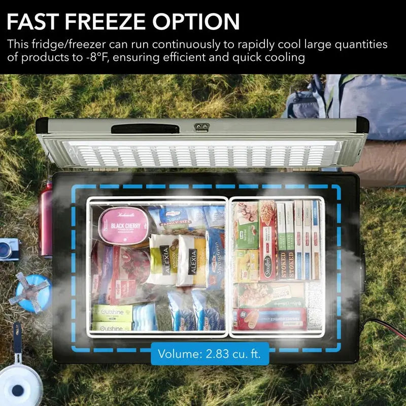 Portable Freezer with Adjustable Temperature Controls | Fridge.com