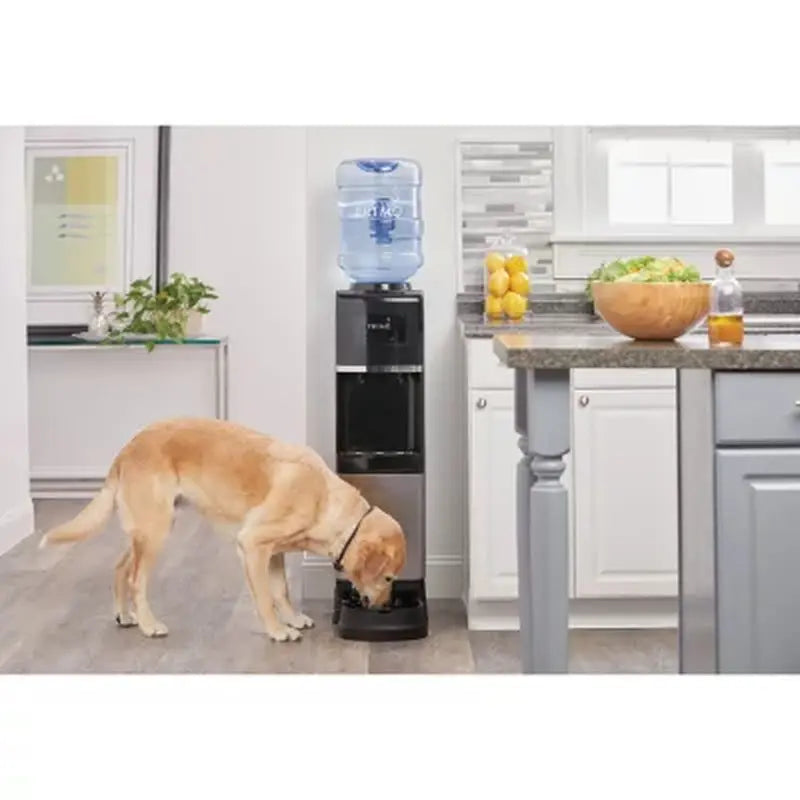 Primo Top Load Hot and Cold Water Dispenser + Pet Station | Fridge.com