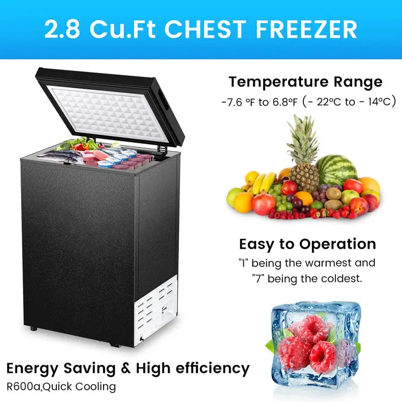 R.W.Flame 2.8 Cu.Ft. Garage Ready Chest Freezer with Adjustable Temperature | Fridge.com