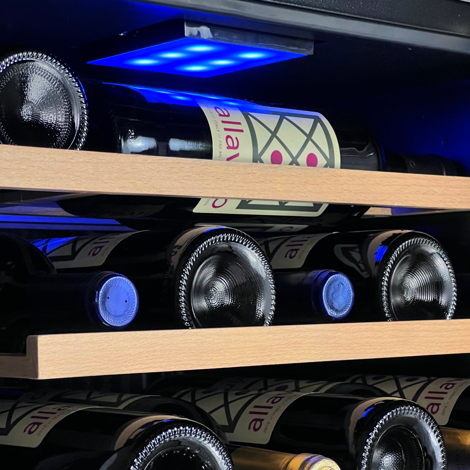 Allavino Cascina Series 28 Bottle Dual Zone Freestanding Wine Cooler Refrigerator With Stainless Steel Door - View 6 | Fridge.com