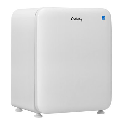 Costway 2.4 Cu.ft. Compact Refrigerator Auto Defrost Mini Fridge Reversible Door | Fridge.com