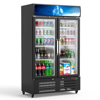 28 cu. ft. Commercial Beverage Refrigerator with Glass Door & LED Lighting — Domccy, model WF04-4833260