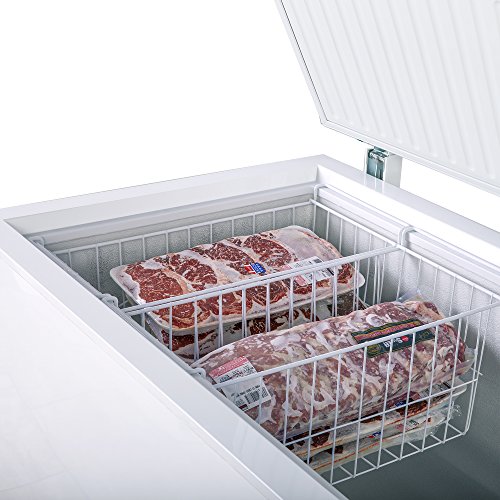 Duura Chest Freezer Sub-Zero Commercial Freezer With Split Top Double Locking Lids, Indoor Or Outdoor Ready For Garage, Basement, Restaurant, Café, 30 cu. ft., White - View 2 | Fridge.com