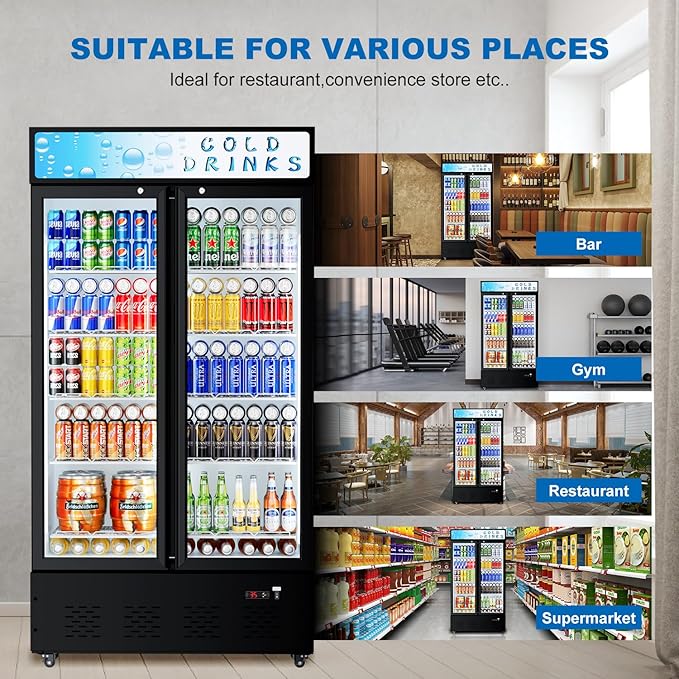 Freezlabs Commercial Glass Door Display Refrigerator 30 cu.ft Cooler Commercial Beverage Refrigerators With LED Light And 10 Shelves For Café, Restaurant, Store, Bar - View 6 | Fridge.com