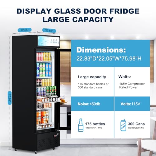Freezlabs Commercial Glass Door Display Refrigerator 12 cu.ft Commercial Beverage Refrigerators With LED Light & 5 Shelves For Café, Restaurant, Store, Bar - View 6 | Fridge.com