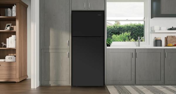 Frigidaire Ffht1822ub 18 Cuft Refrigerator - B - View 4 | Fridge.com