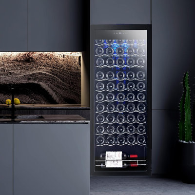 55-Bottle Beverage Refrigerator Countertop Wine Cooler with Glass Door, Adjustable Shelves & Digital Temperature Display, 41-64?, Mini Fridge for Wine | Fridge.com