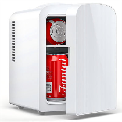 Portable Mini Fridge For Rv/Personal Use  4L (Holds 6 Cans), Stainless Steel Door, 12V Ac/Dc, Perfect For Skincare & Makeup Storage. | Fridge.com