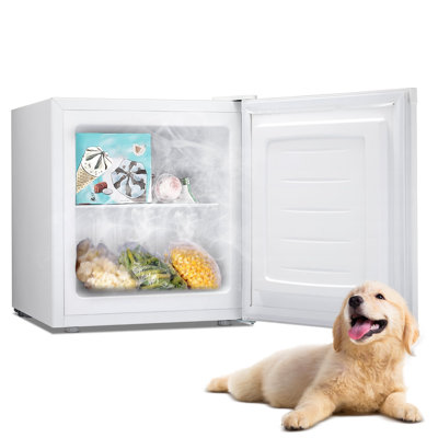 Portable 1.1 Cubic Feet Frost-Free Upright Freezer with Adjustable Temperature Controls | Fridge.com