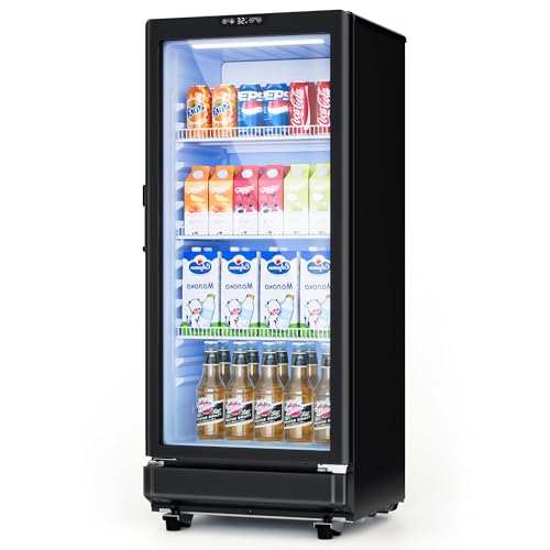 ICEVIVAL 6 Cu.Ft Commercial Refrigerators, Display Fridge with Double-Tempered Glass Door, Beverage Cooler for Bar, Office, Restaurant, Outdoor Beverage Refrigerator with Locking, Key & LED | Fridge.com